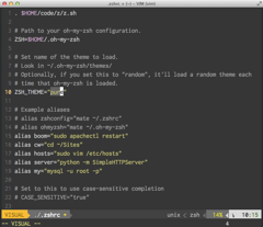 Setting up the Terminal