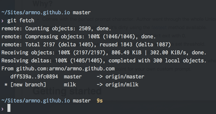 pure.zsh execution time
